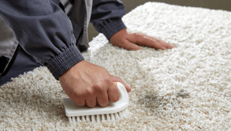 Professional Rug Cleaning Ballarat